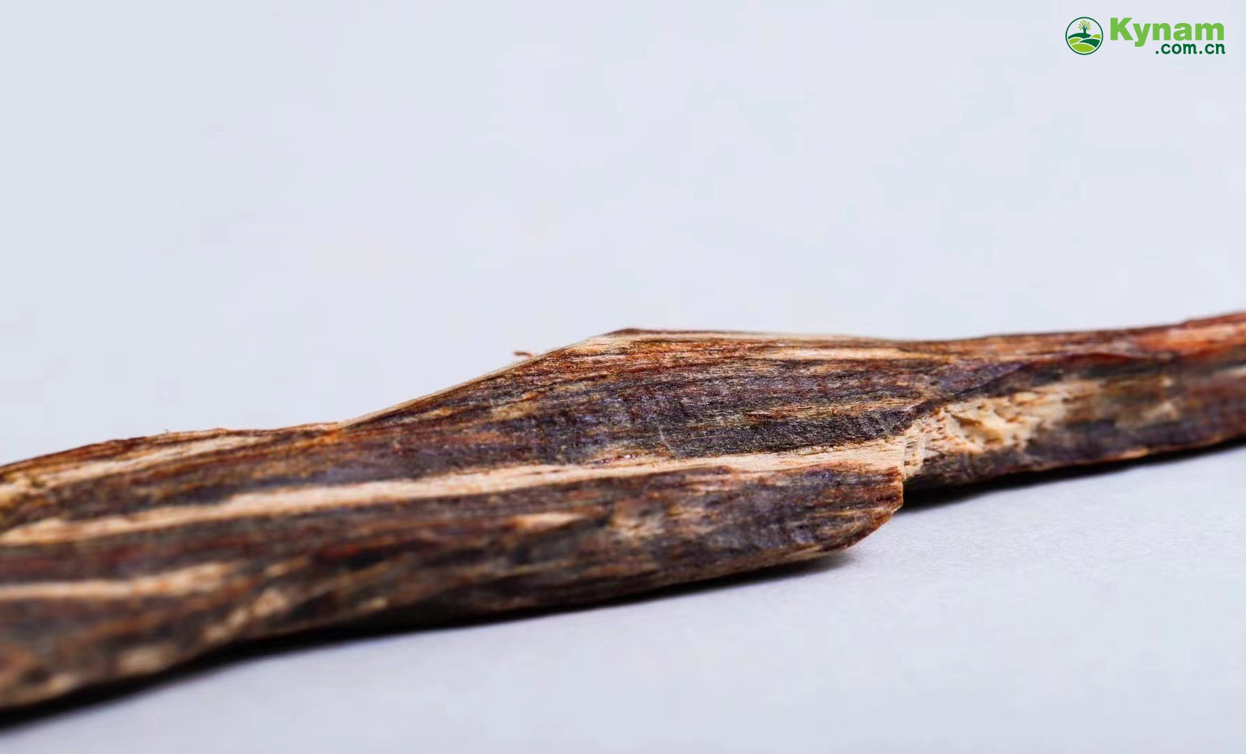 Hong Kong Shuxin Agarwood