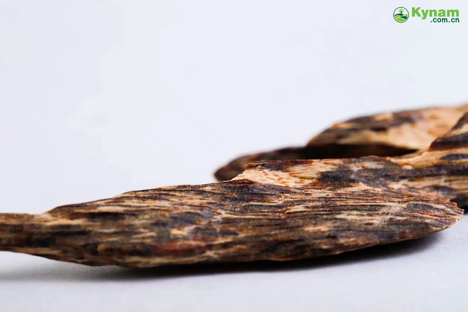 Hong Kong agarwood tree heart knot incense