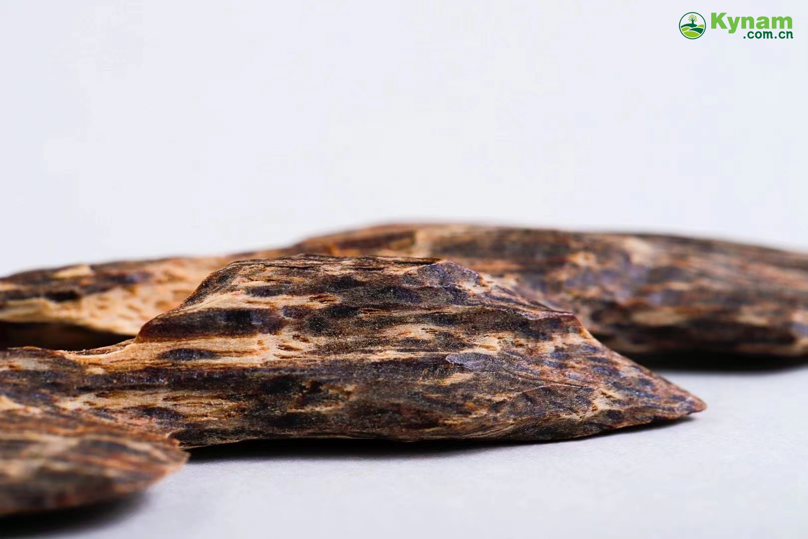 Hong Kong agarwood tree heart knot incense