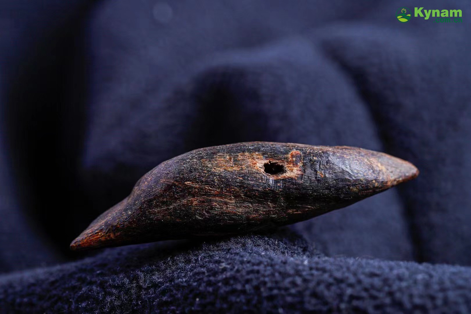 Vietnamese Yazhuang insect bites agarwood - can sink into water