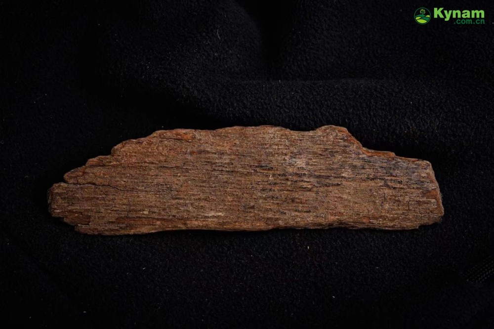 Fusen red soil agarwood