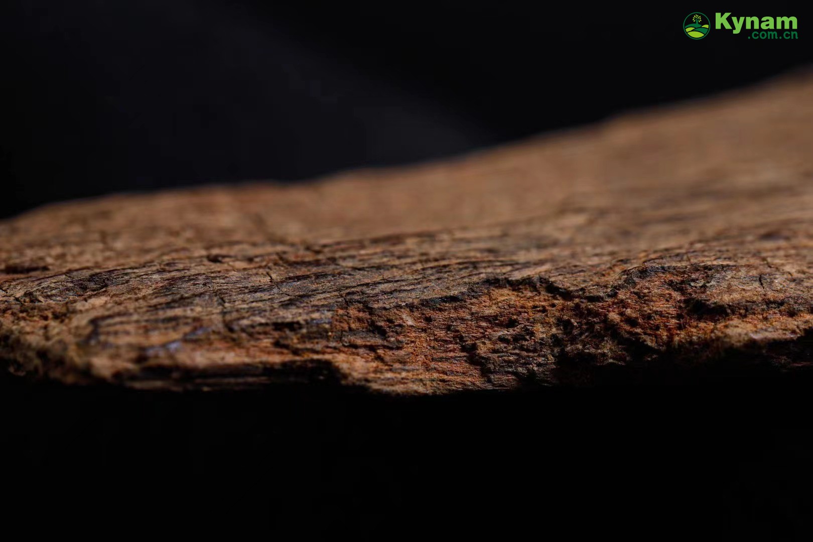 Fusen red soil agarwood