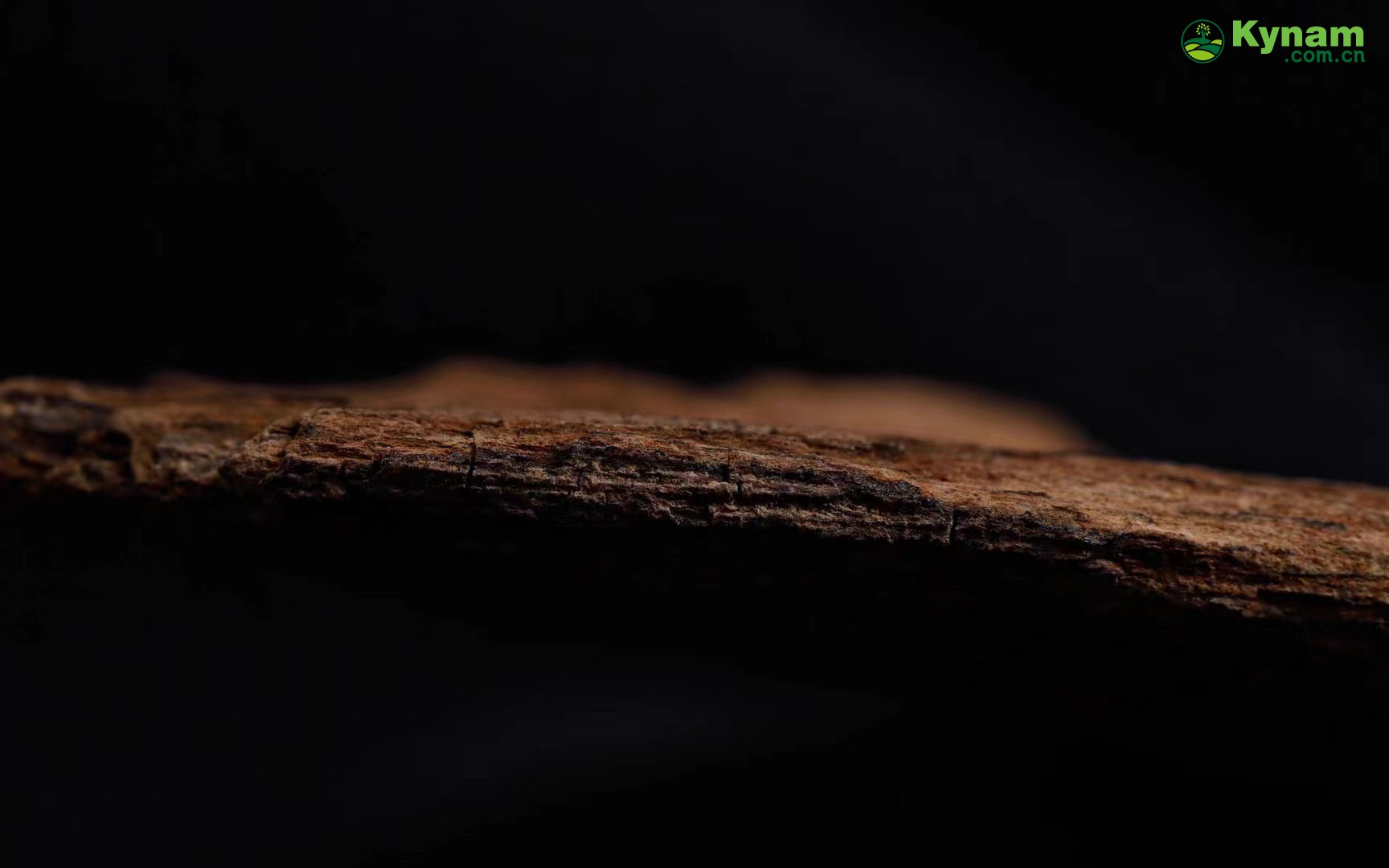 Fusen red soil agarwood