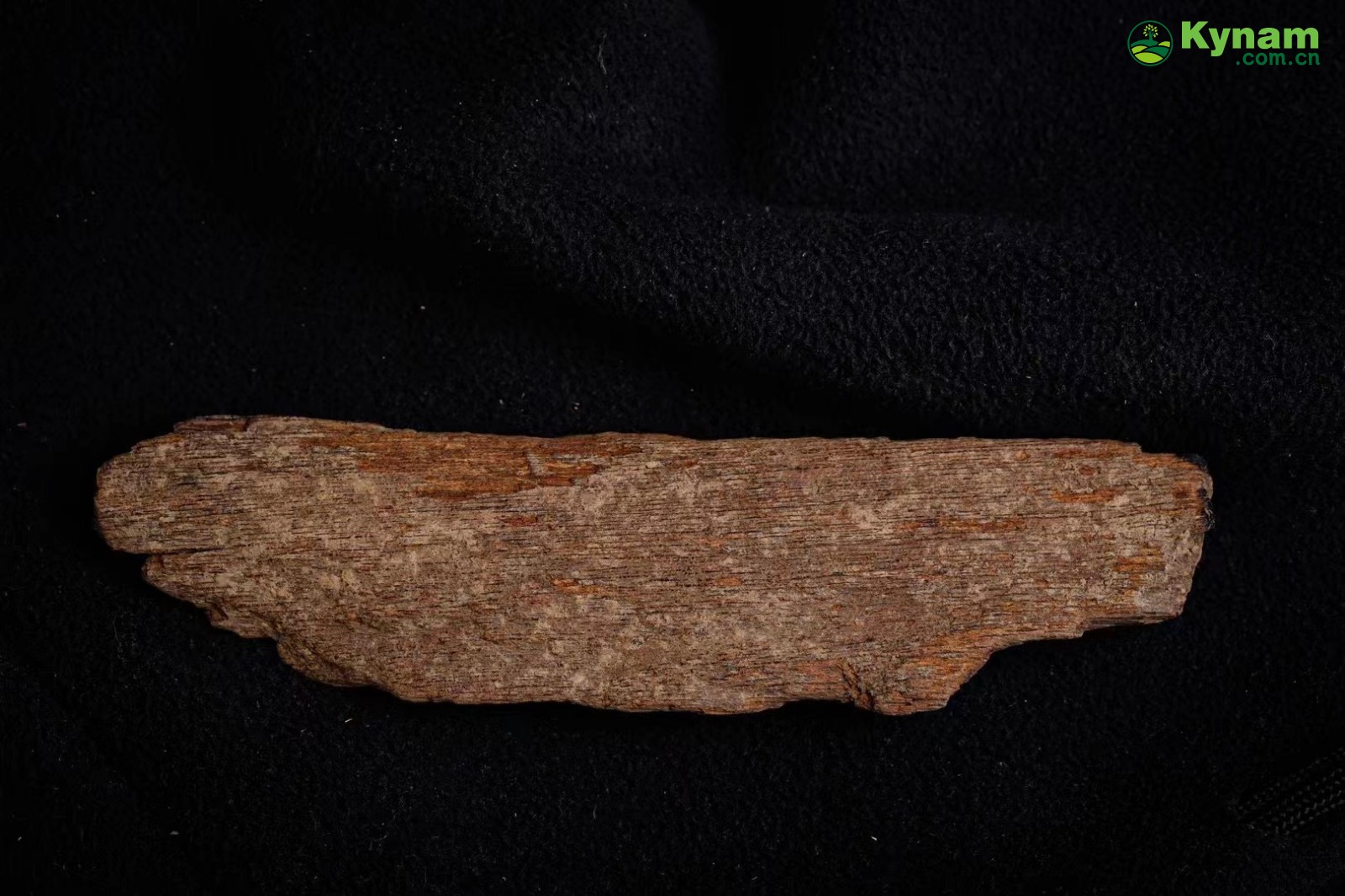 Fusen red soil agarwood