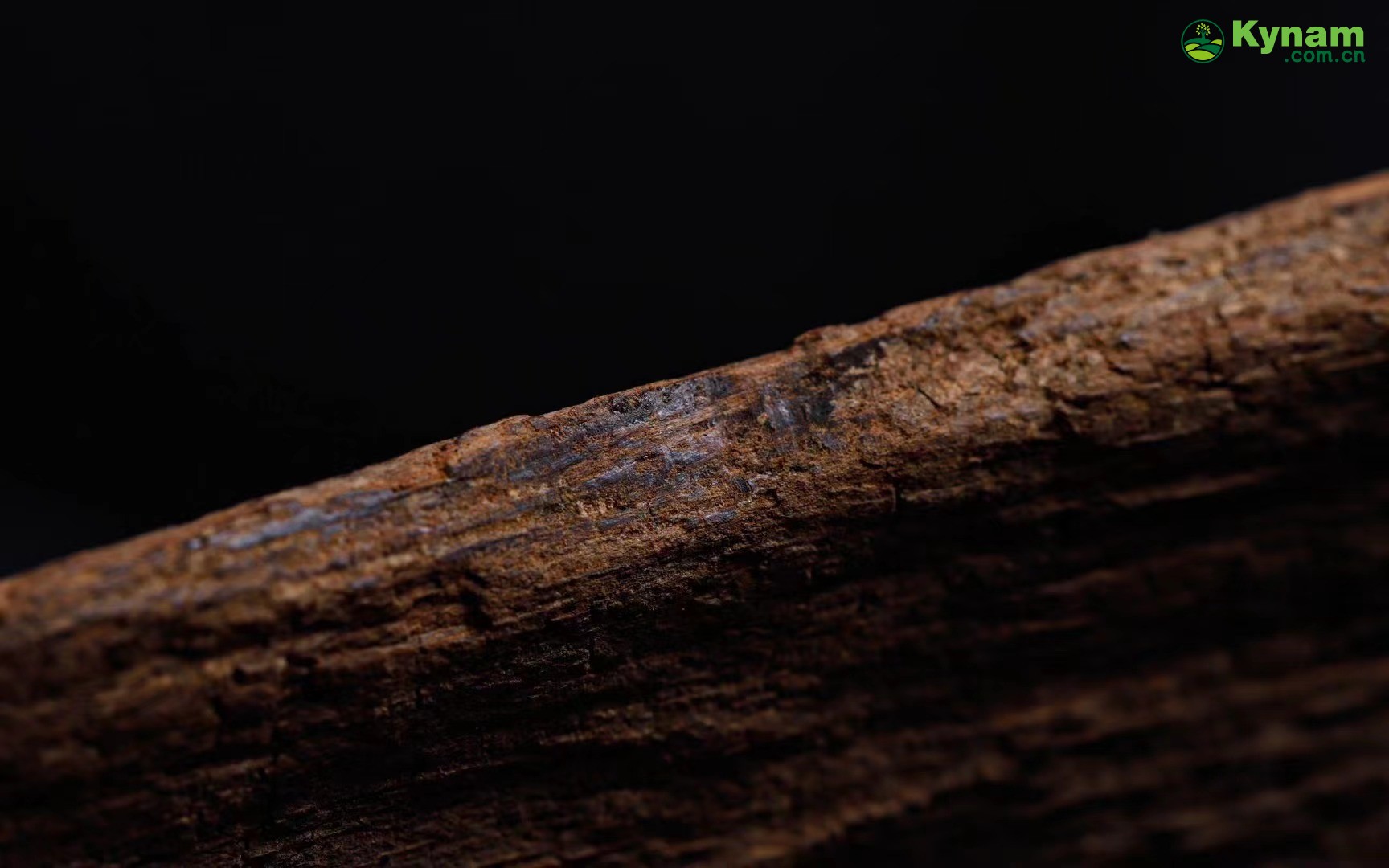 Fusen red soil agarwood
