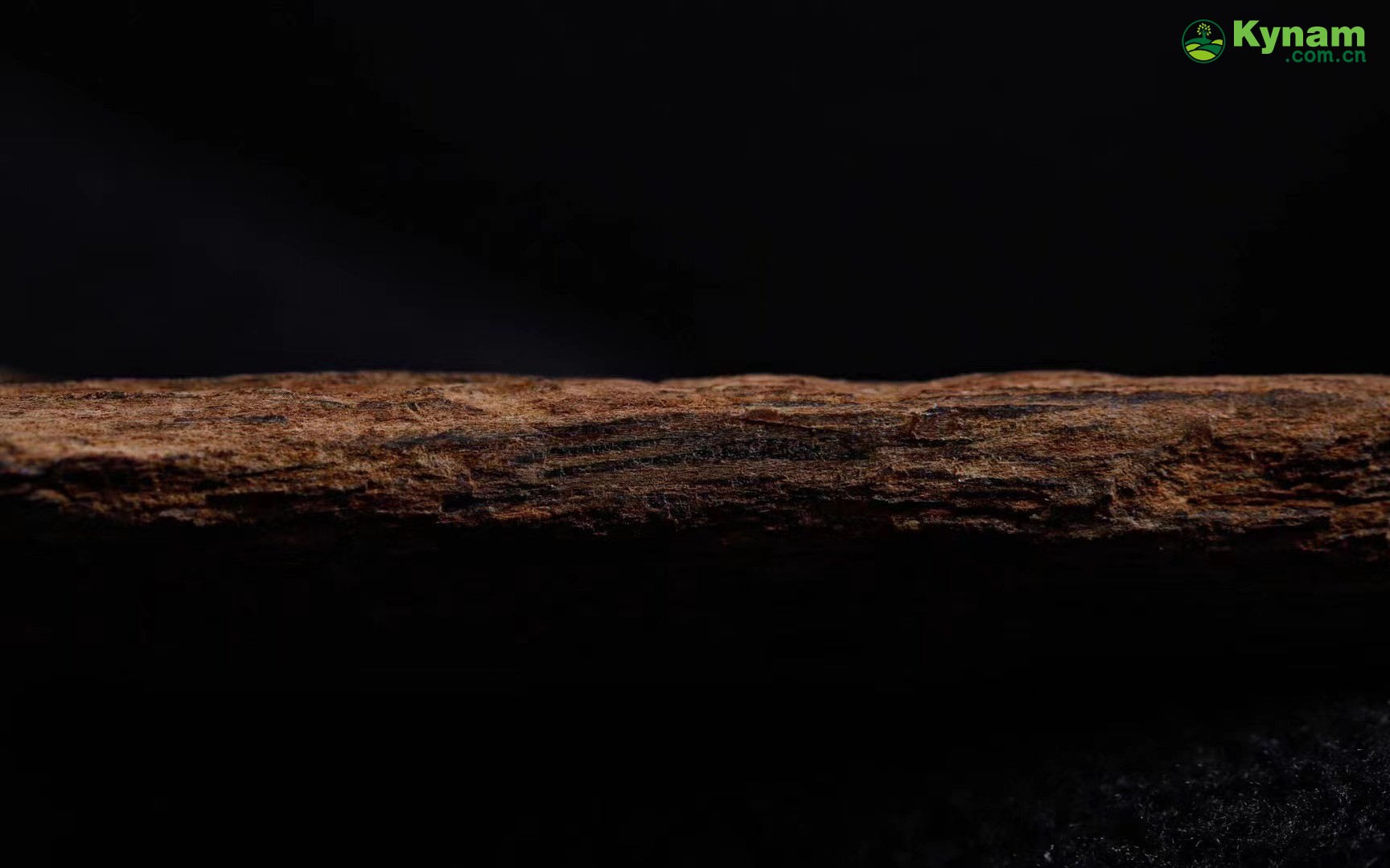 Fusen red soil agarwood