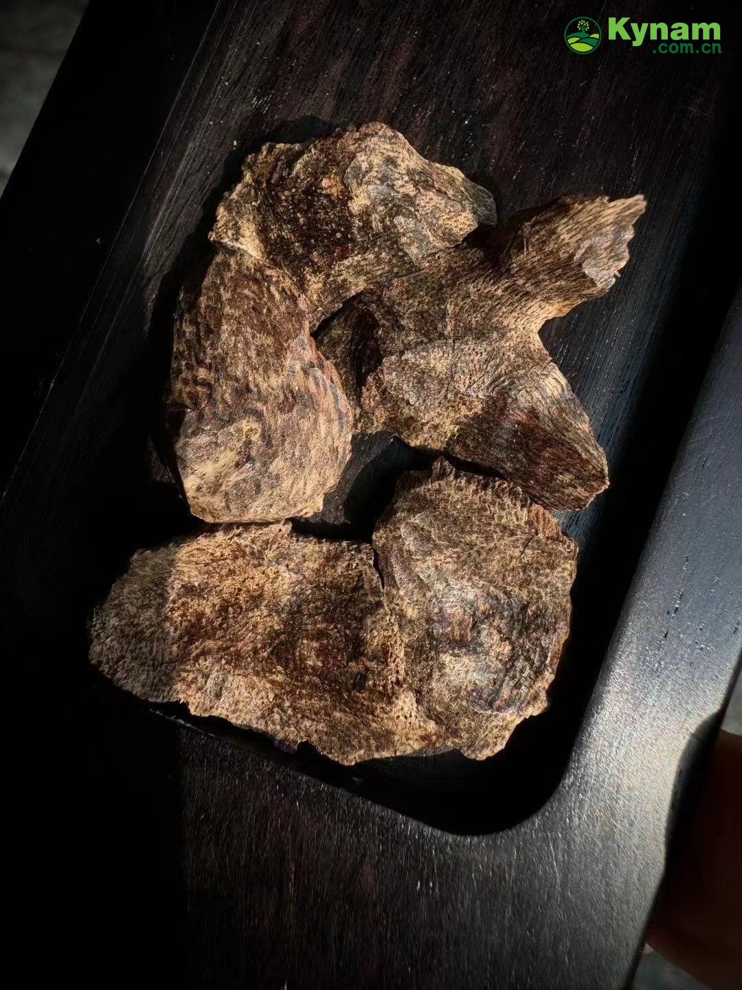 Wild agarwood from Hainan