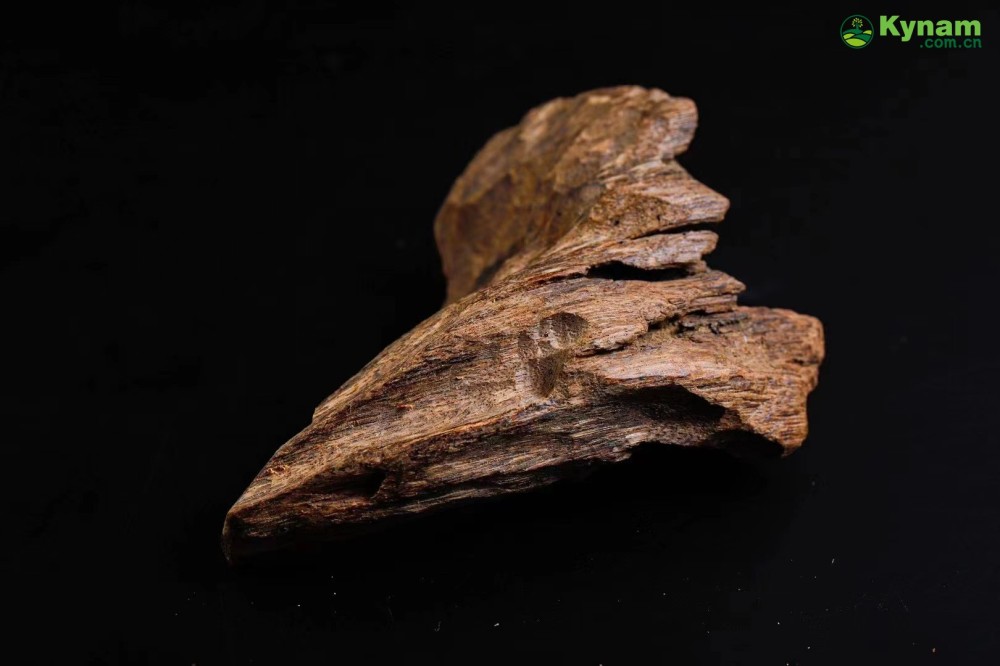 Wild agarwood from Hainan 12g
