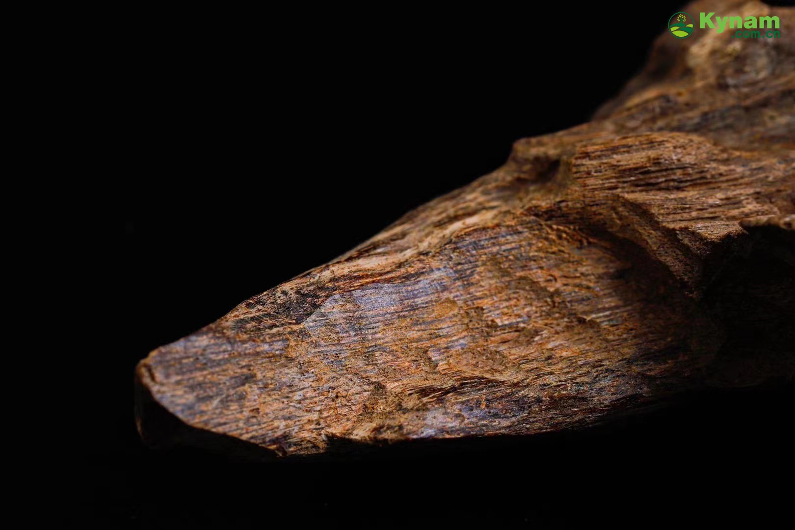 Wild agarwood from Hainan 12g