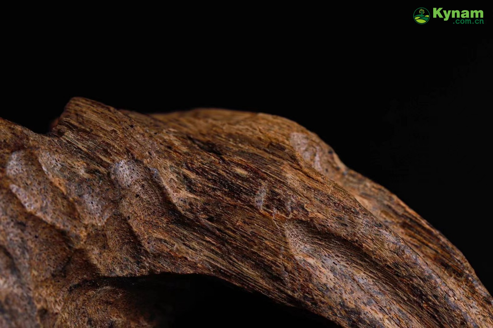 Wild agarwood from Hainan 12g