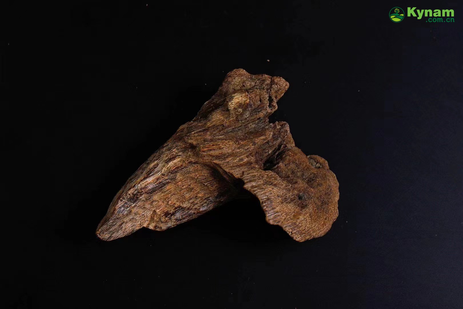 Wild agarwood from Hainan 12g