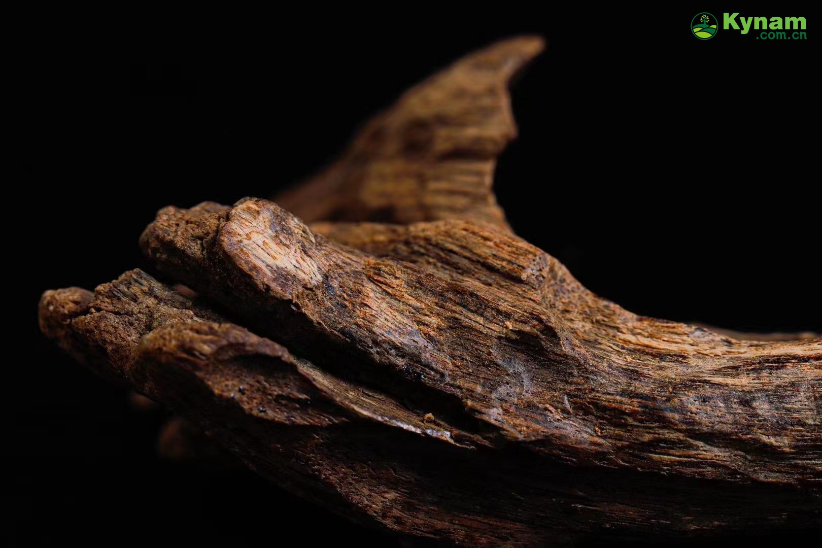 Wild agarwood from Hainan 12g