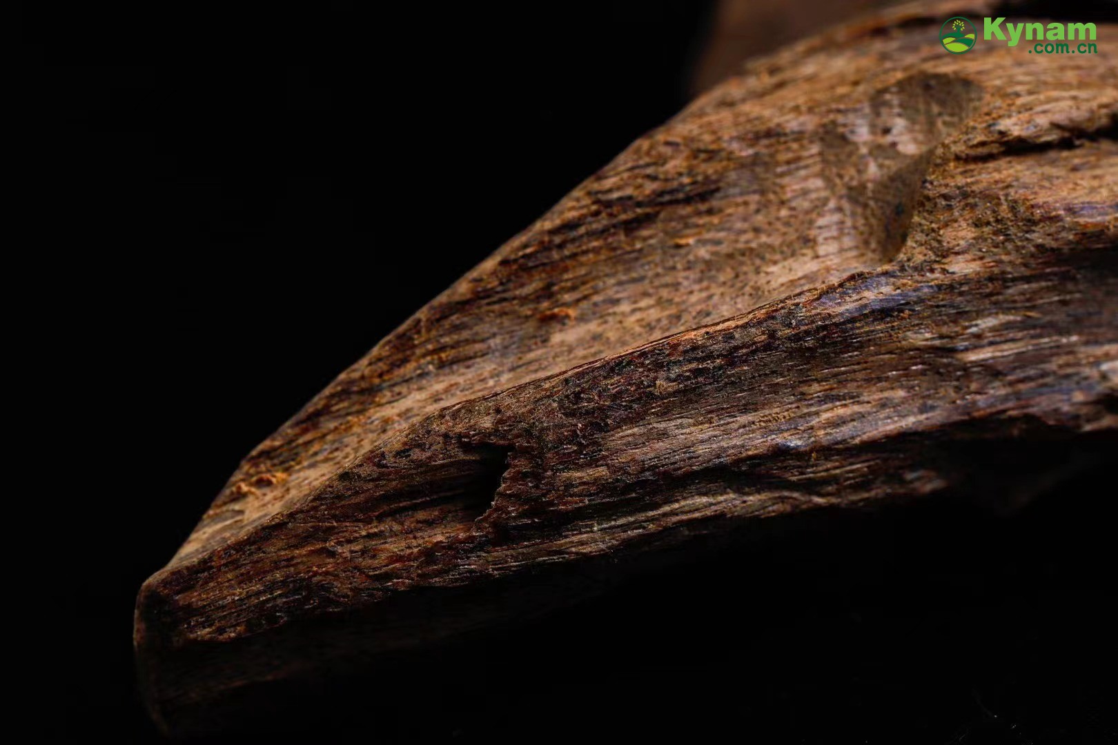 Wild agarwood from Hainan 12g