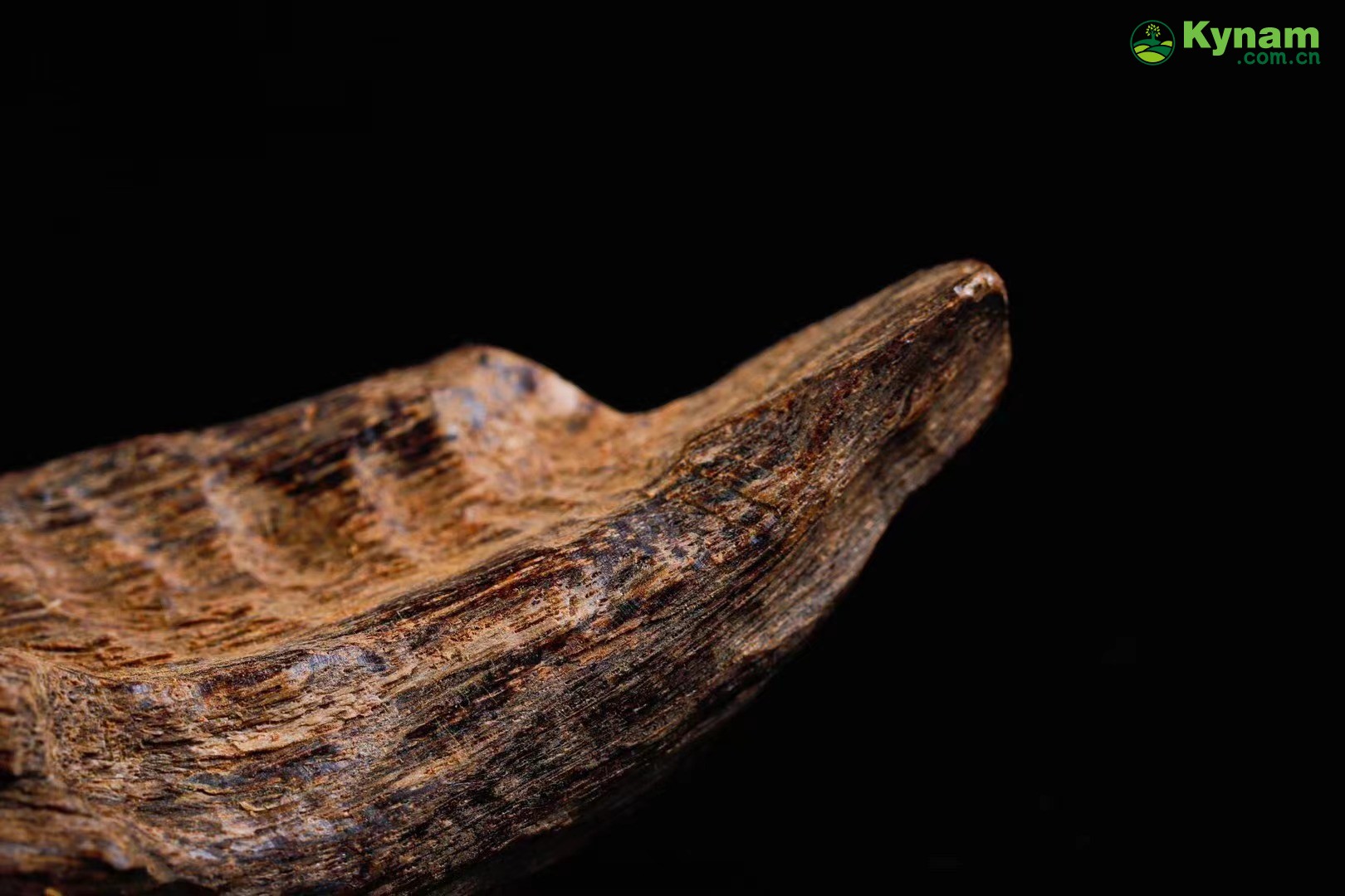 Wild agarwood from Hainan 12g