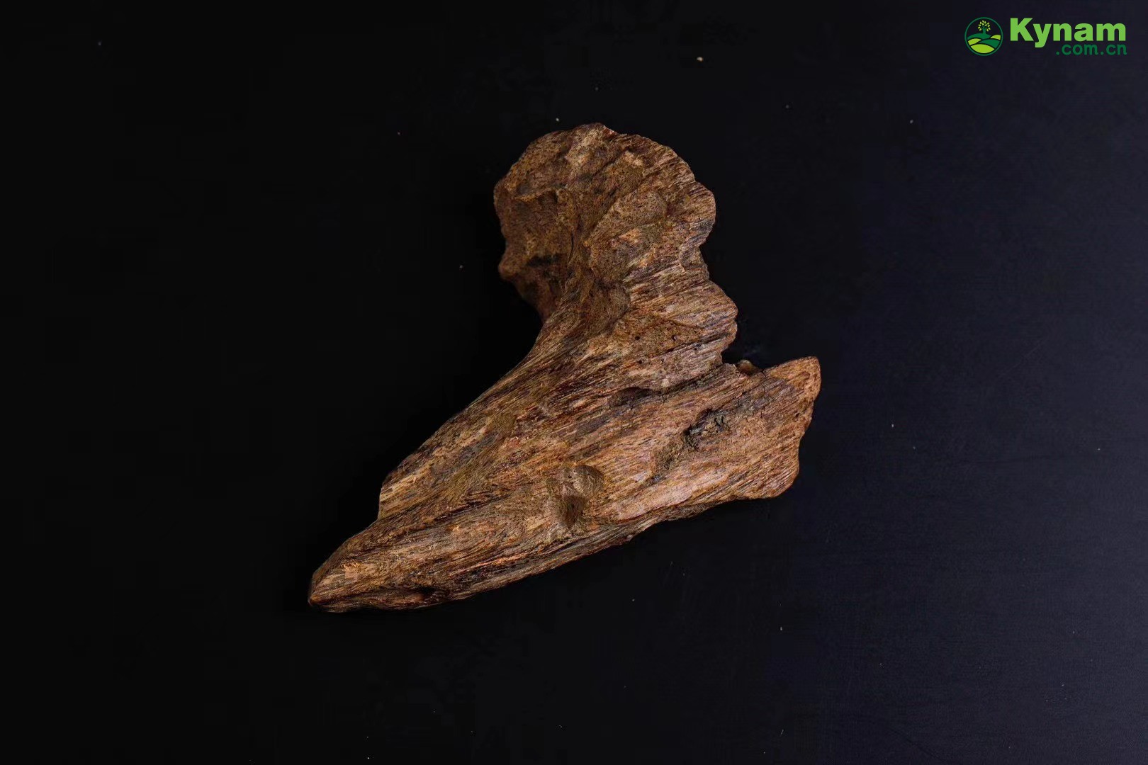 Wild agarwood from Hainan 12g