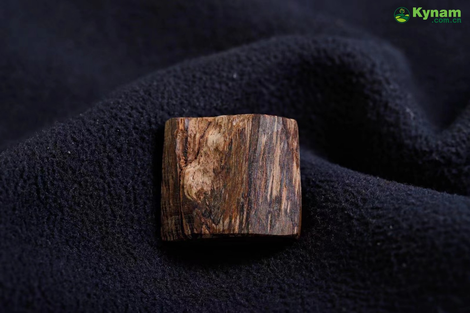 Dalagan agarwood