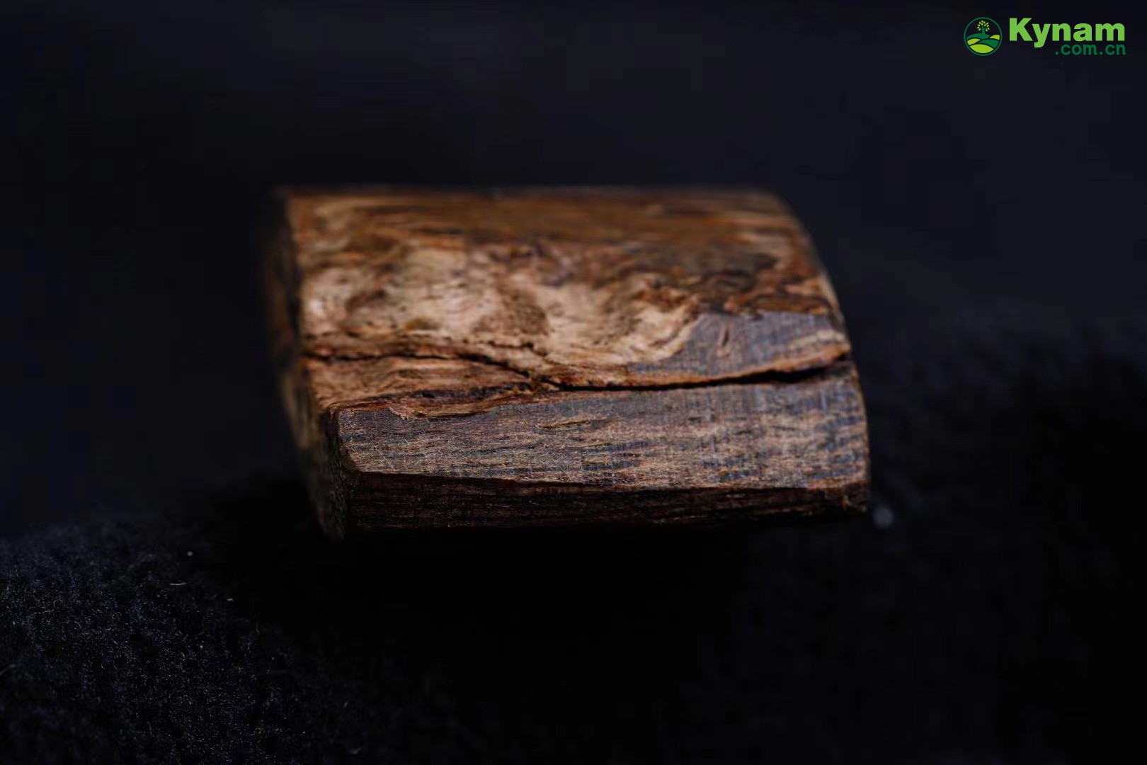 Dalagan agarwood