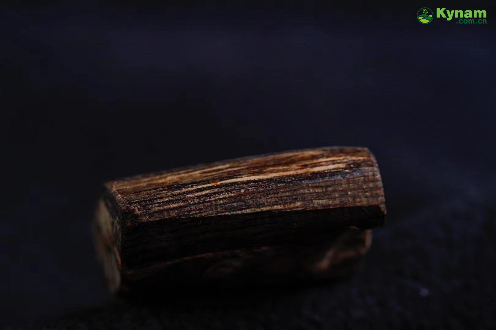 Dalagan agarwood