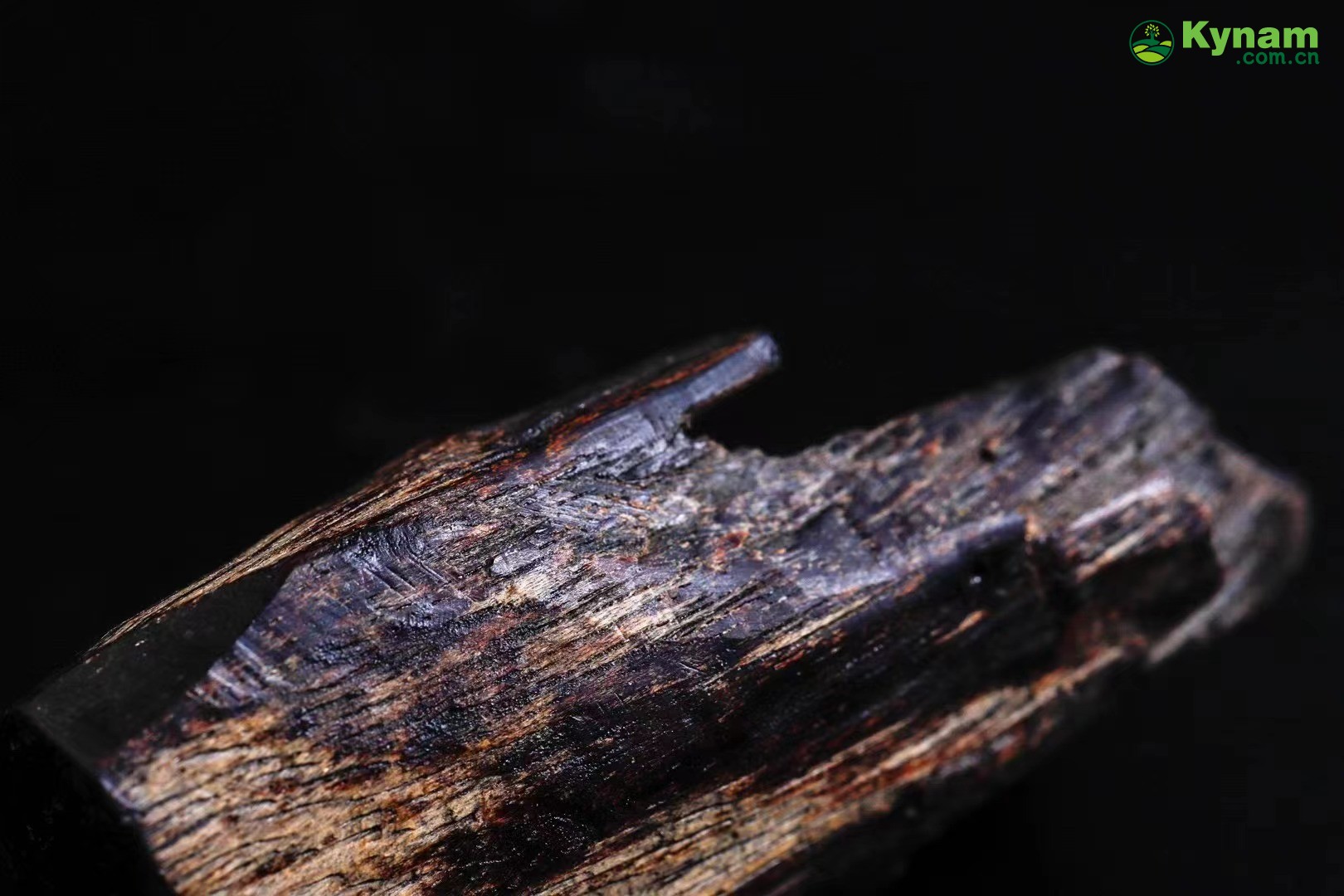 Clear oil of aged agarwood