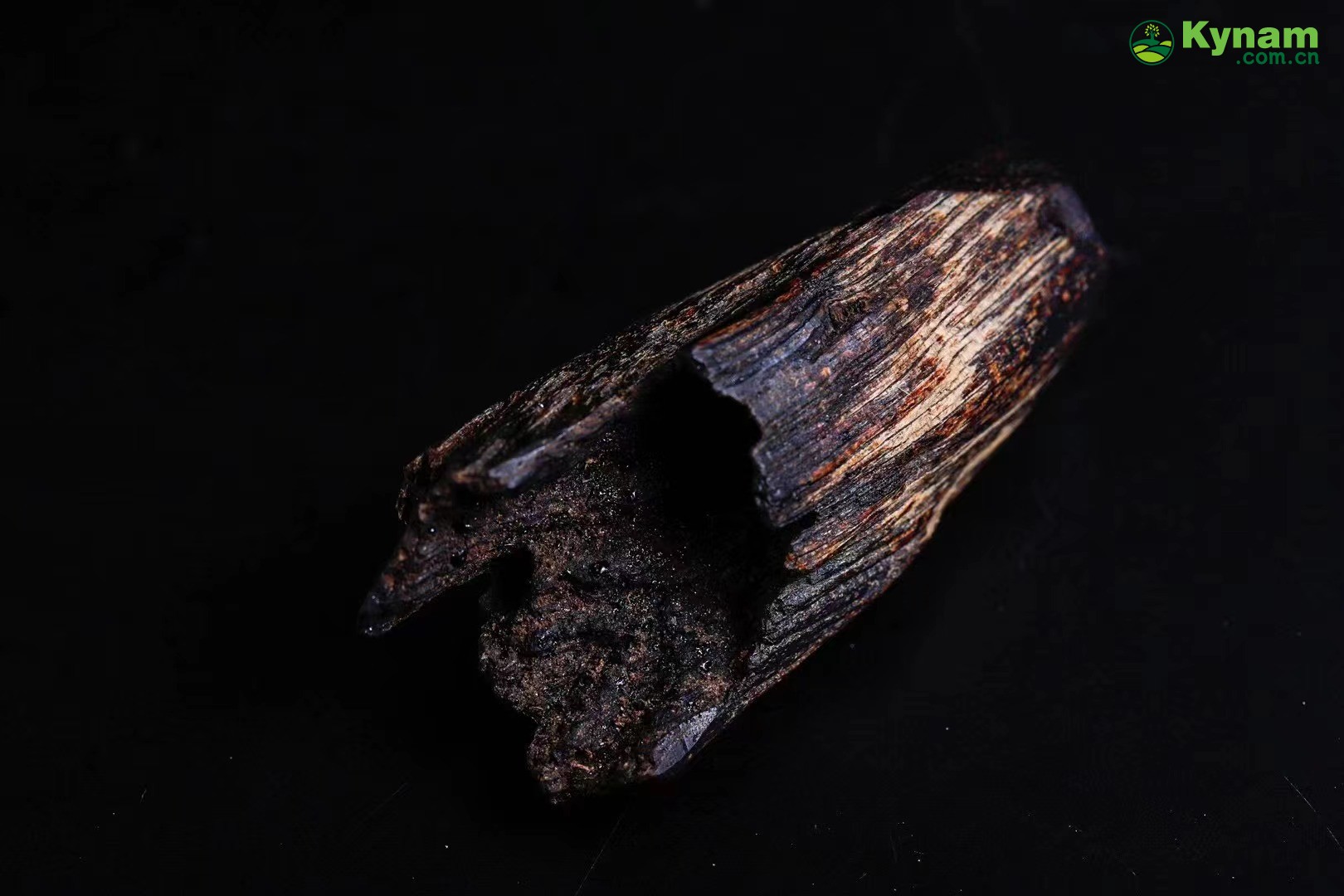 Clear oil of aged agarwood