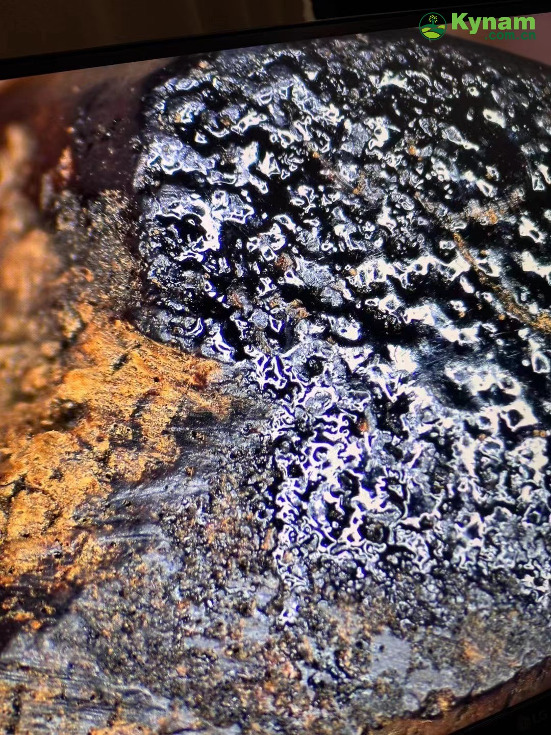Clear oil of aged agarwood